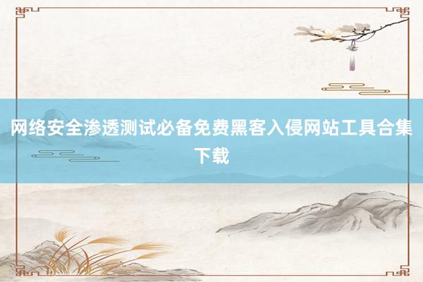 网络安全渗透测试必备免费黑客入侵网站工具合集下载