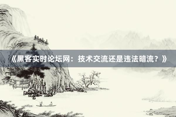 《黑客实时论坛网：技术交流还是违法暗流？》